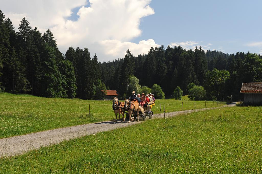 Hotel Bergblick Scheidegg Εξωτερικό φωτογραφία